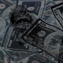 Fidelity Bonds from IMT