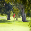 Golf Course - Par-fect PAK