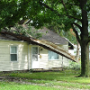 Homeowners / Business Property Losses
